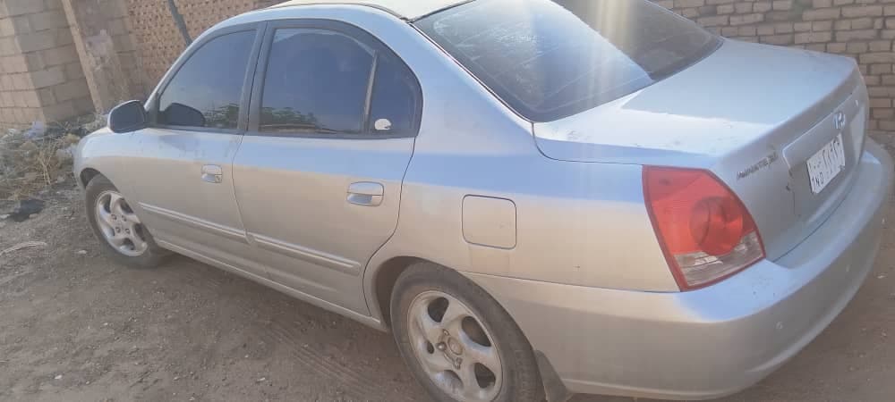 سحلية ٢٠٠٥ اتوماتيك في شرق النيل  - صورة 4