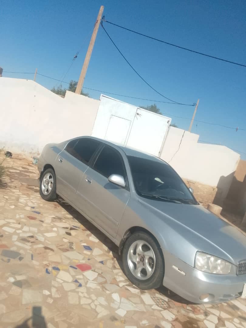 سحليه شاذه موديل 3 اتوماتيك  - صورة 2