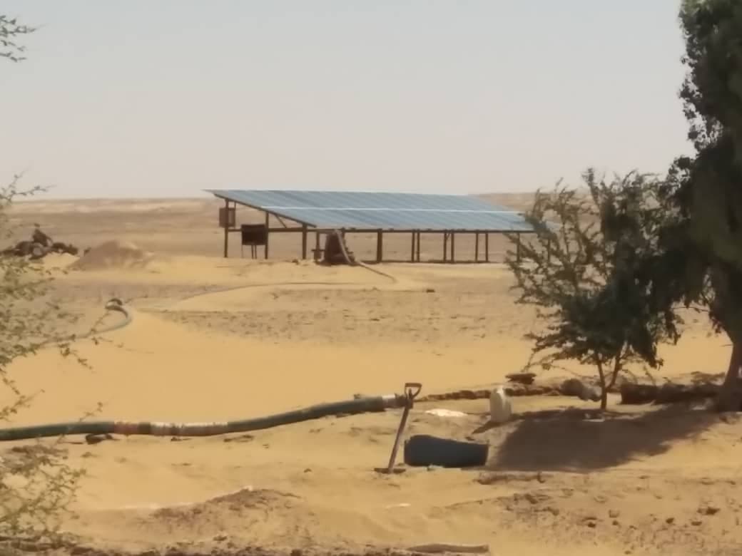 مزرعة للبيع لعشاق الاستثمار الزراعي بسعر ممتاز بالولاية الشمالية دنقلا