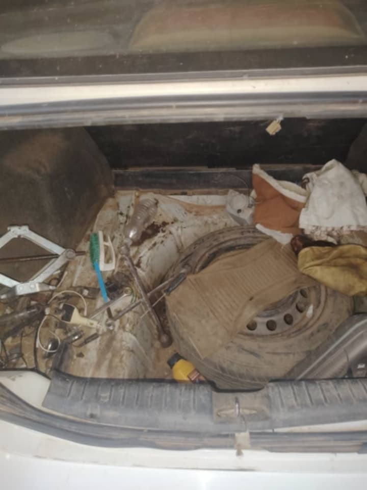 
✨شفر افيو موديل 2006 - صورة 2