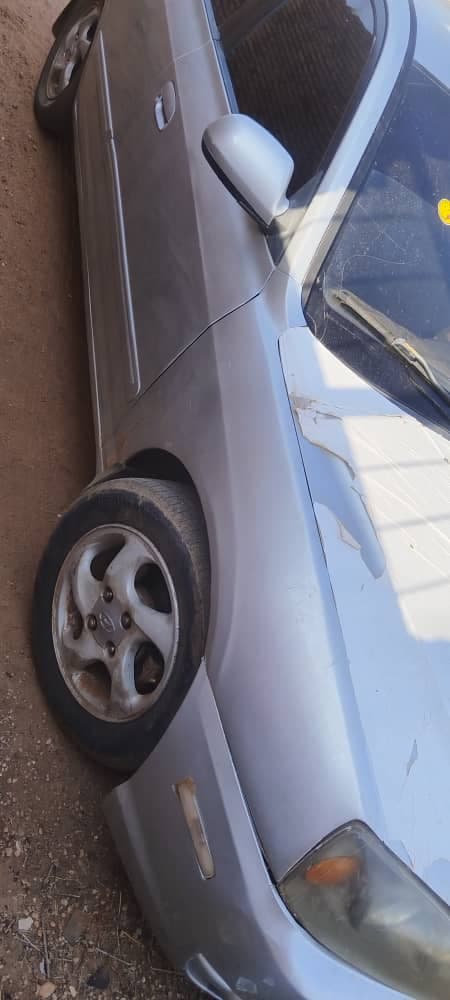 سحلية ٢٠٠٥ اتوماتيك في شرق النيل  - صورة 2