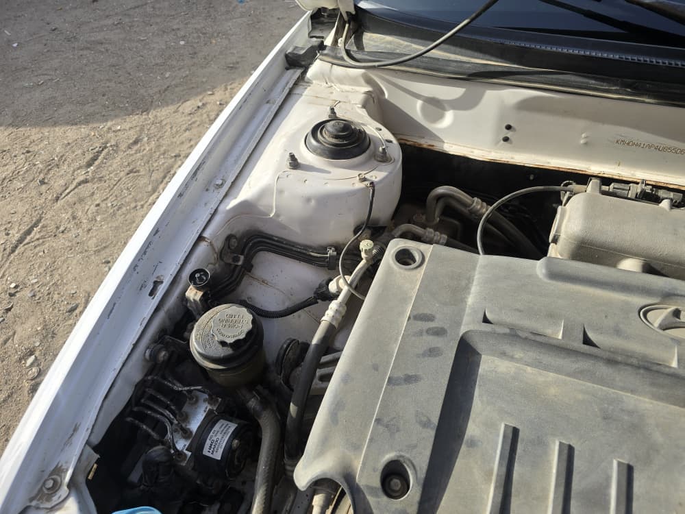 افانتي سحلية موديل 2004 - صورة 2