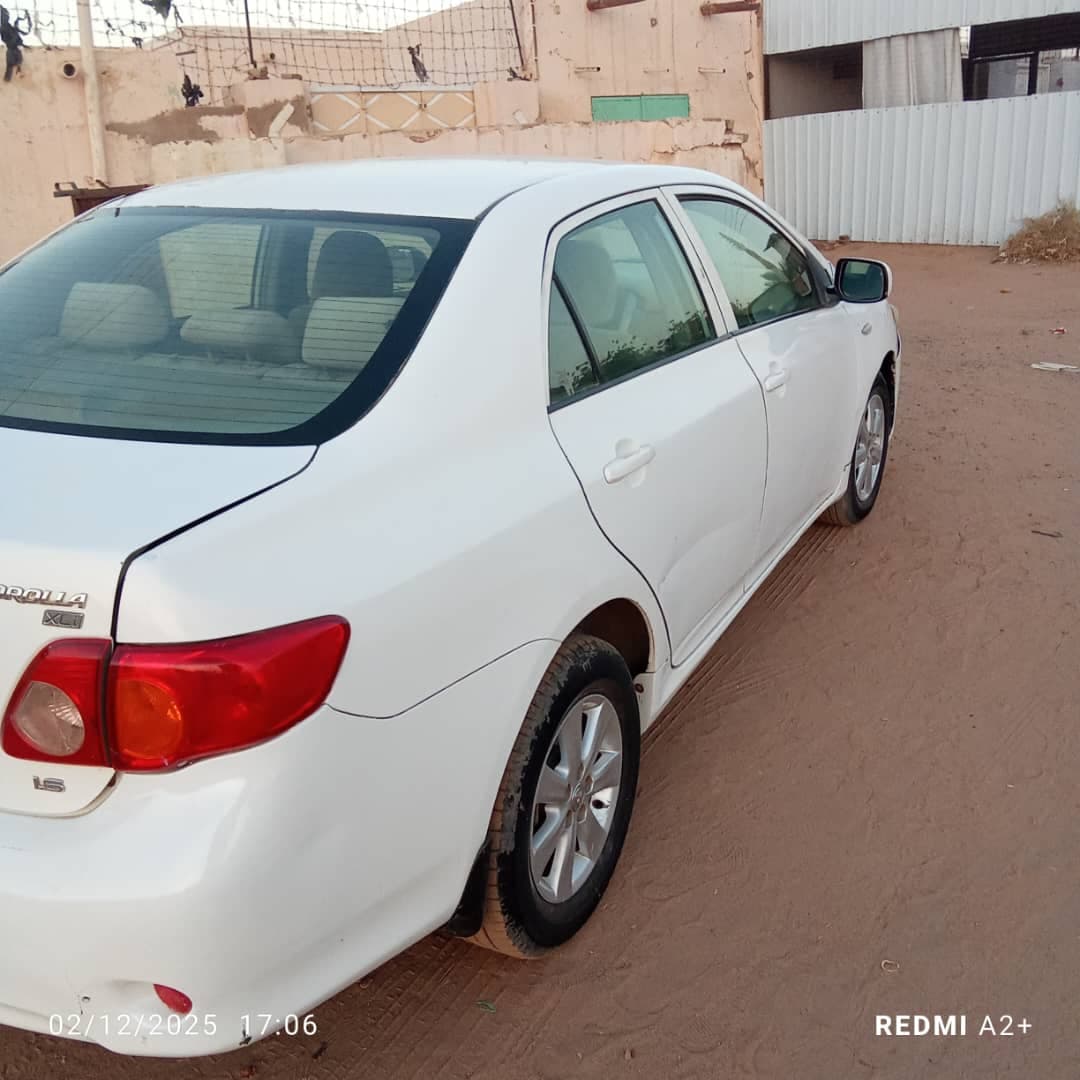 كوريلا - صورة 4