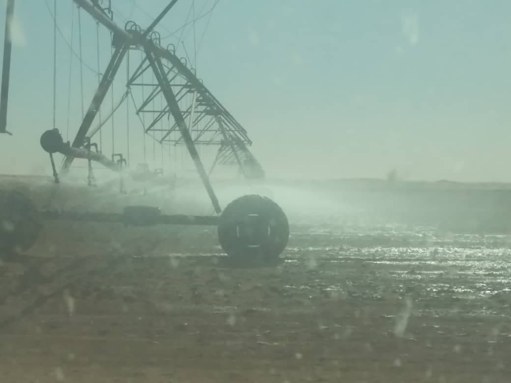 مزرعة للبيع لعشاق الاستثمار الزراعي بسعر ممتاز بالولاية الشمالية دنقلا