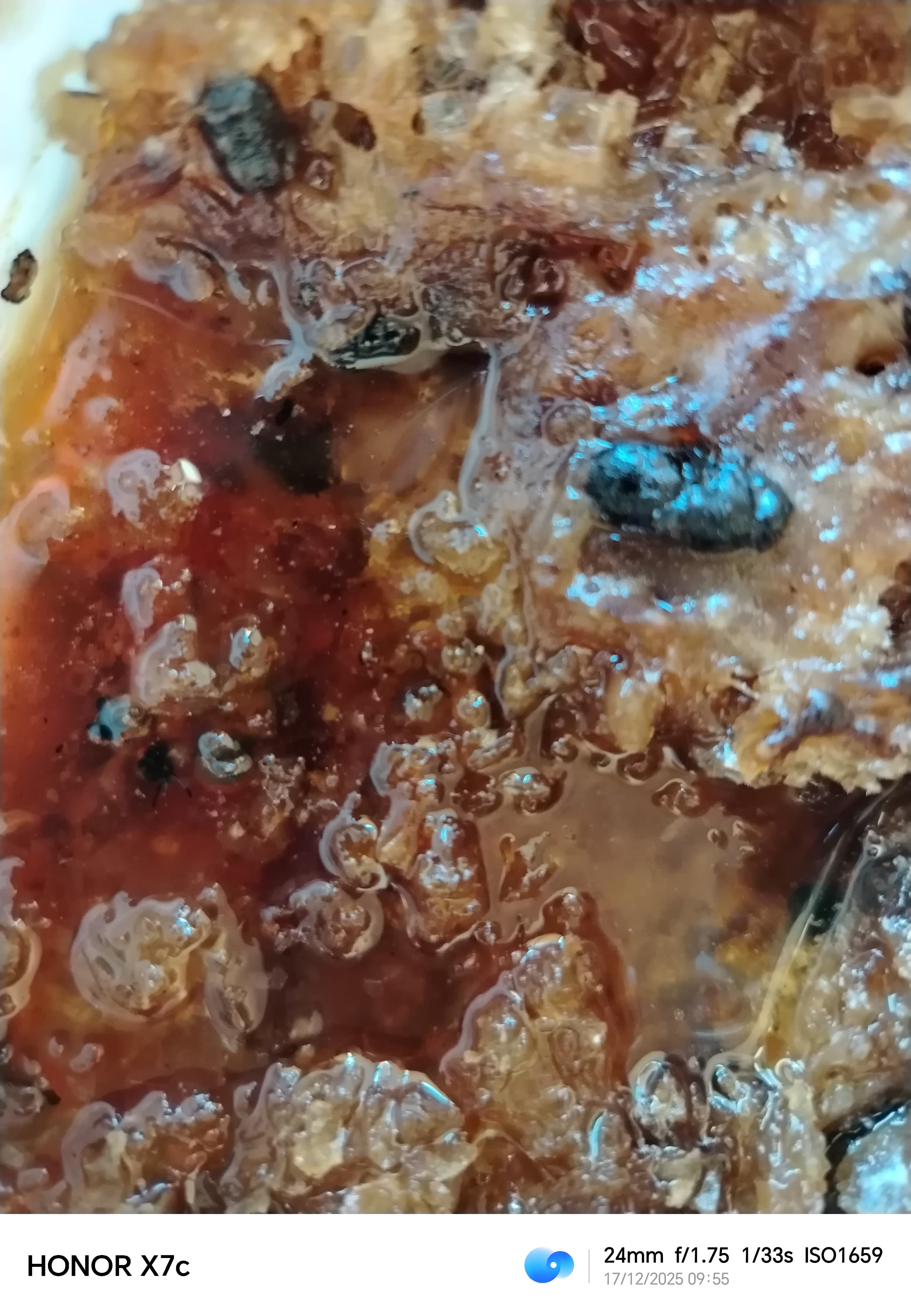 عسل نحل خام جديد  - صورة 2