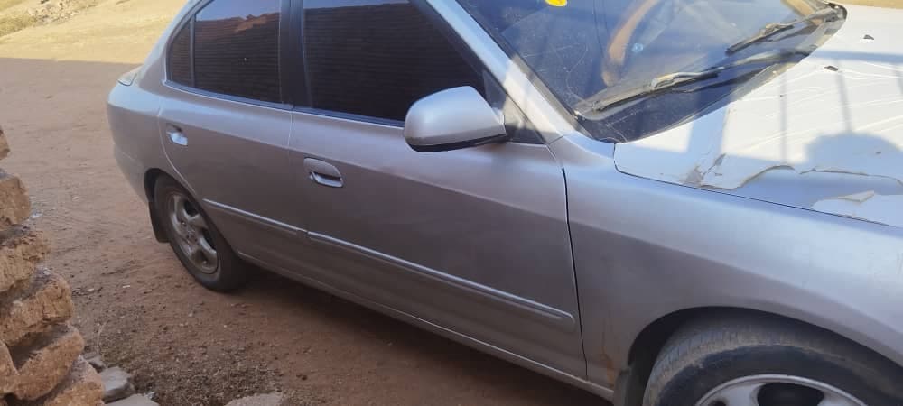 سحلية ٢٠٠٥ اتوماتيك في شرق النيل  - صورة 5