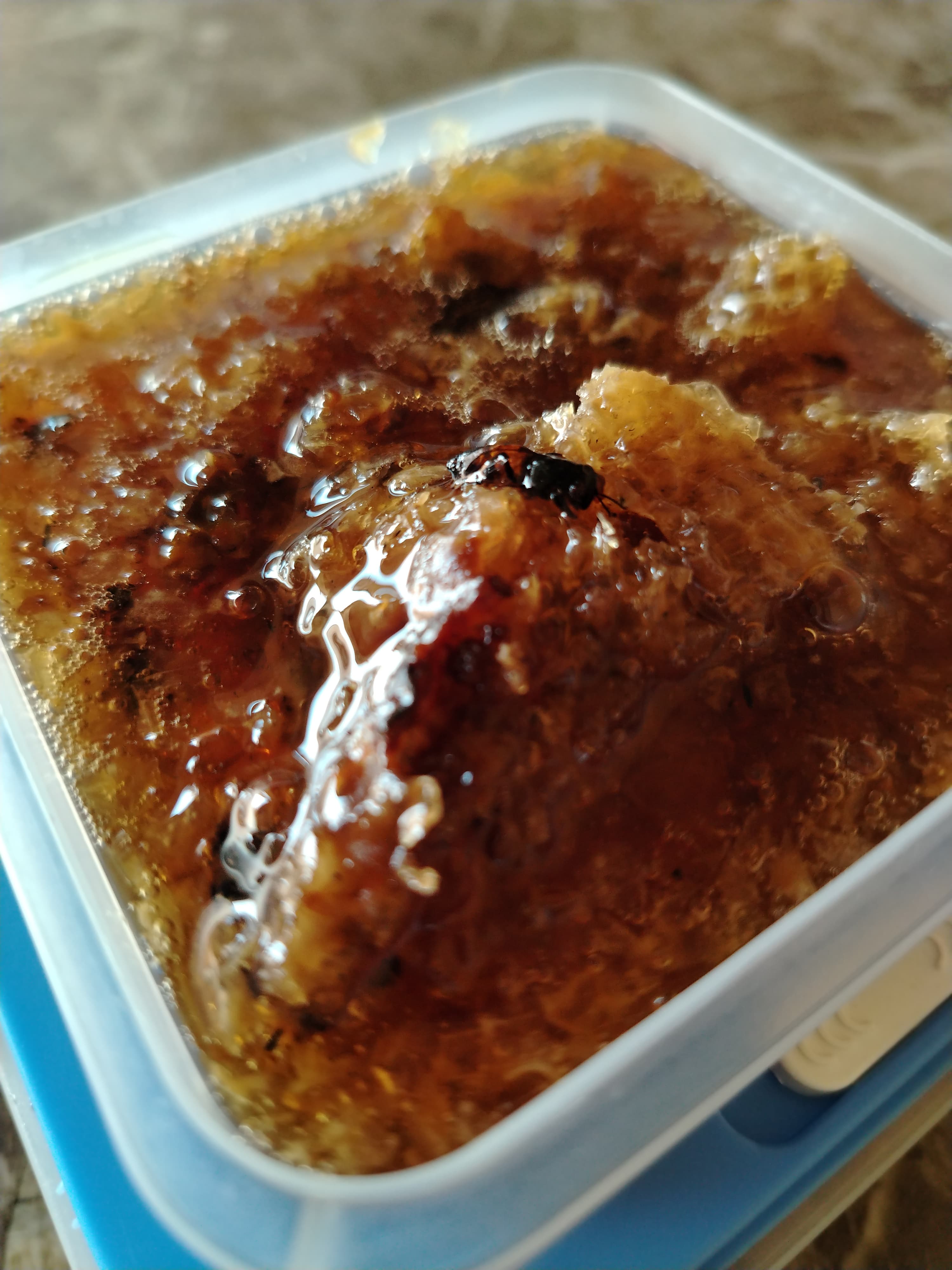 عسل نحل درجة اولي ممتاز جدا - صورة 2