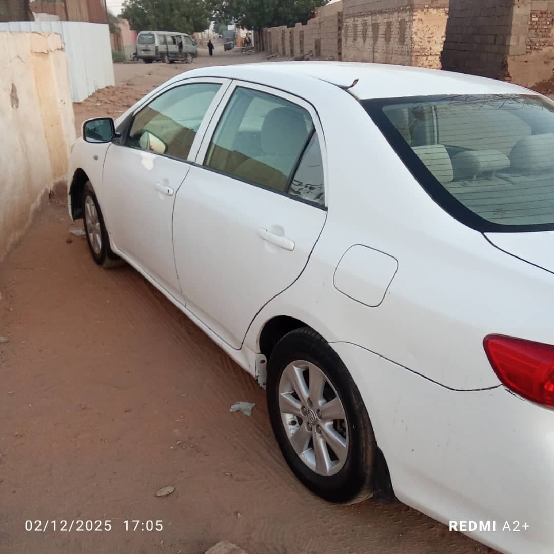 كوريلا - صورة 3