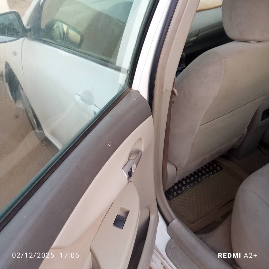 كوريلا - السيارات والمركبات في شندي