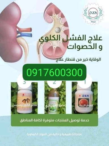 تمويل مشاريع حكومية وخاصة 