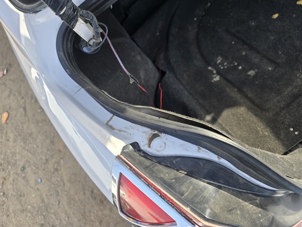 افانتي سحلية موديل 2004 - صورة 9