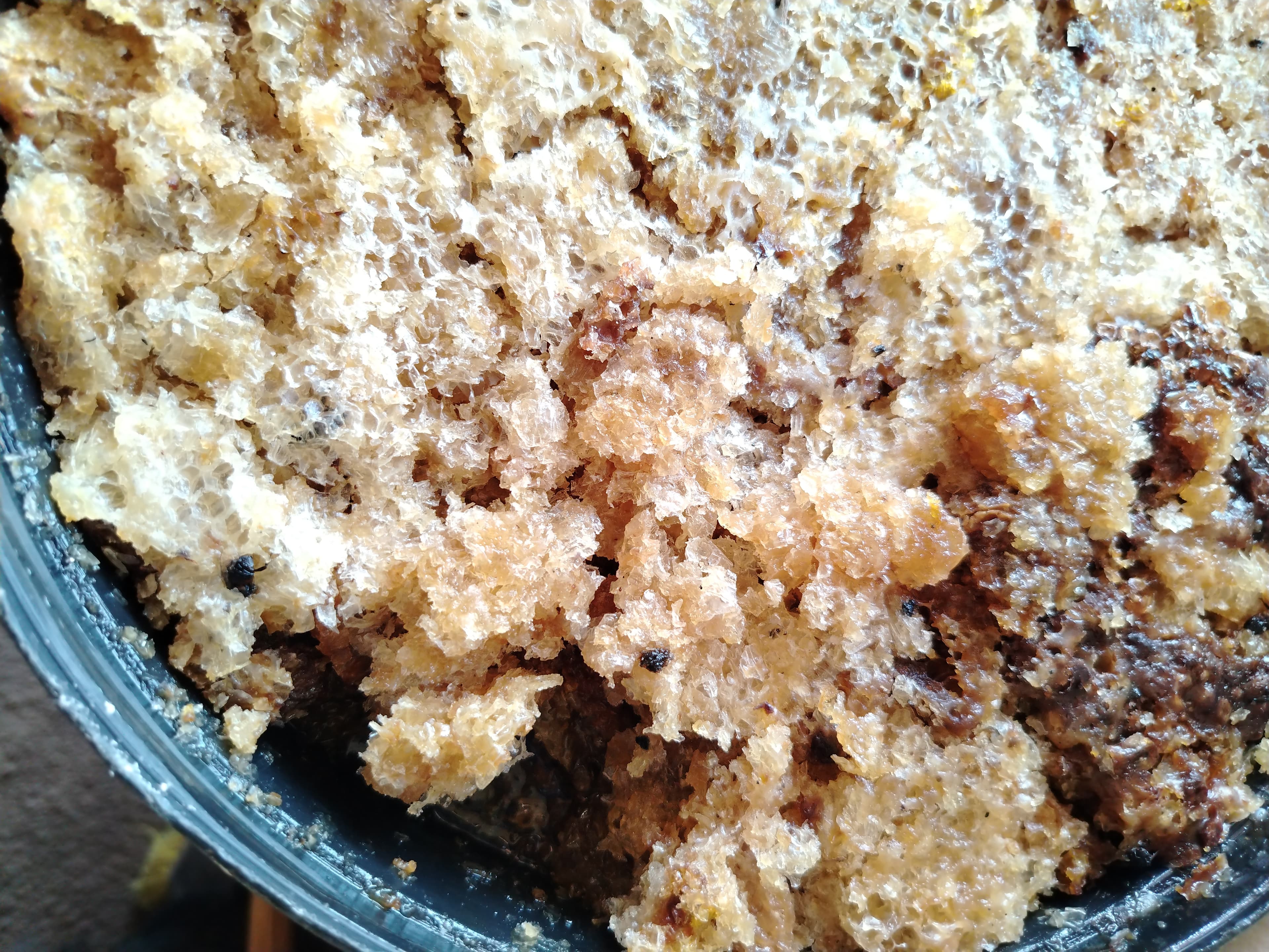 عسل نحل خام جديد - المأكولات والمشروبات في بورتسودان