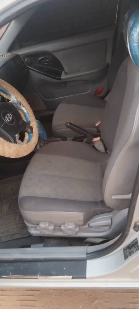 سحلية ٢٠٠٥ اتوماتيك في شرق النيل  - صورة 3