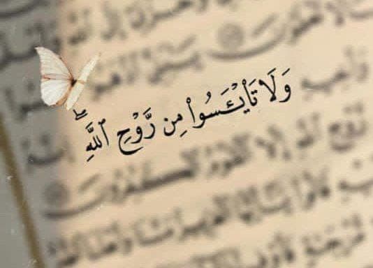 للايجار في امدرمان 