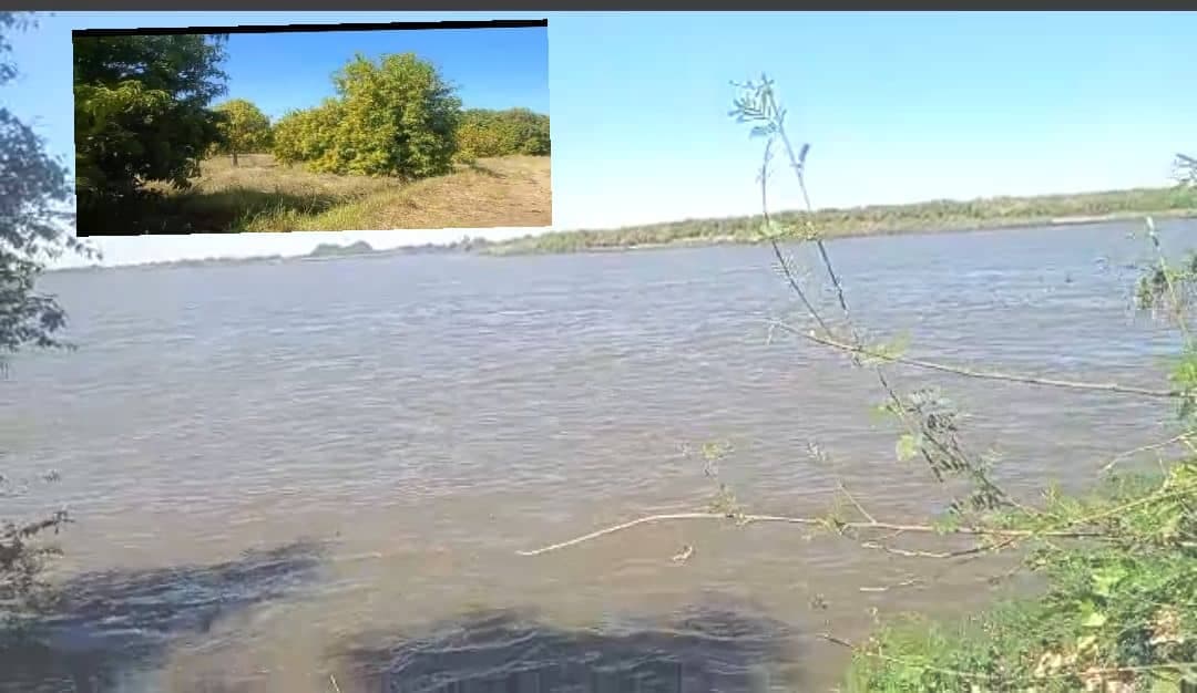 ✍🏻 للبيع في نهر النيل 
 مزرعة مثمرة في منطقه التراجمة في ريف شمال شندي المساحة 17 فدان
شهادة بحث ملك حر موقع مميز جدآ مطلة علي نهرالنيل التربة قرير
الا - العقارات في شندي